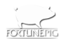 FORTUNE PIG S.L